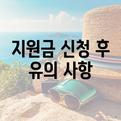 지원금 신청 후 유의 사항