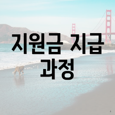 지원금 지급 과정