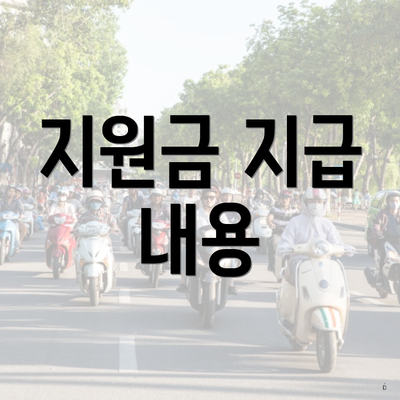 지원금 지급 내용