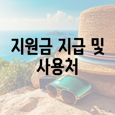 지원금 지급 및 사용처