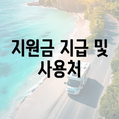 지원금 지급 및 사용처