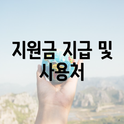지원금 지급 및 사용처