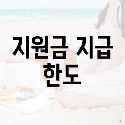 지원금 지급 한도
