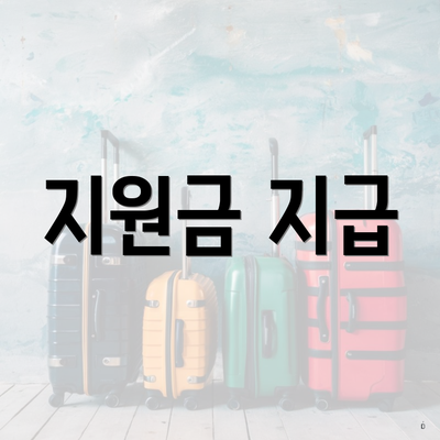지원금 지급