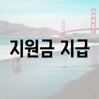 지원금 지급
