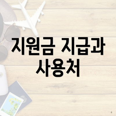 지원금 지급과 사용처