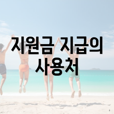 지원금 지급의 사용처