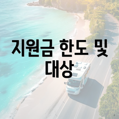 지원금 한도 및 대상