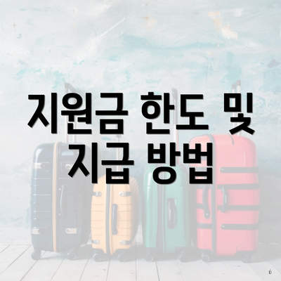 지원금 한도 및 지급 방법