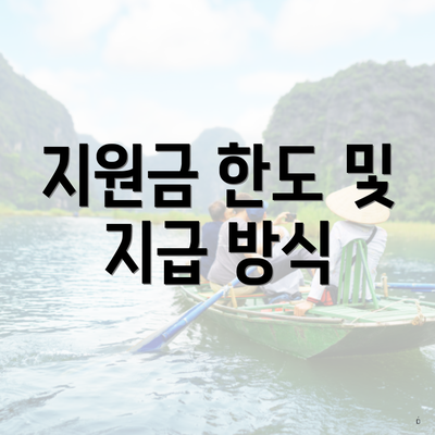 지원금 한도 및 지급 방식