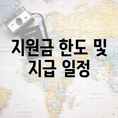지원금 한도 및 지급 일정