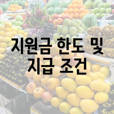 지원금 한도 및 지급 조건