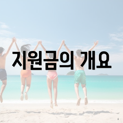 지원금의 개요