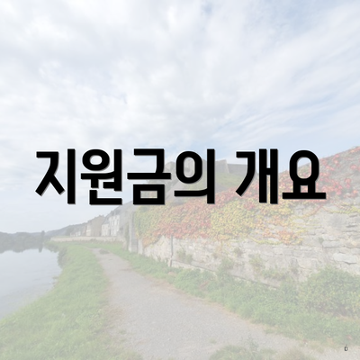지원금의 개요