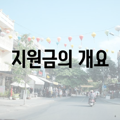 지원금의 개요