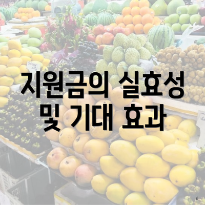 지원금의 실효성 및 기대 효과
