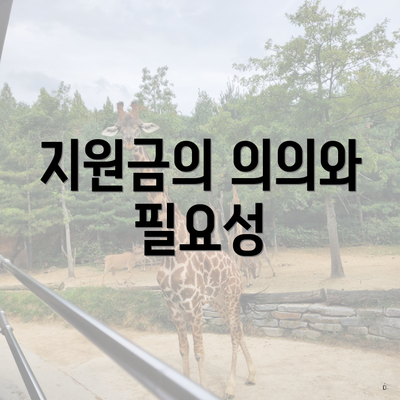 지원금의 의의와 필요성