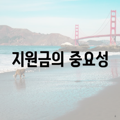 지원금의 중요성