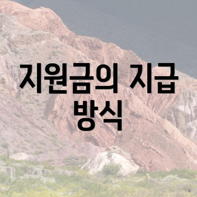 지원금의 지급 방식