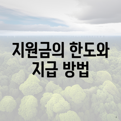 지원금의 한도와 지급 방법