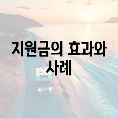 지원금의 효과와 사례