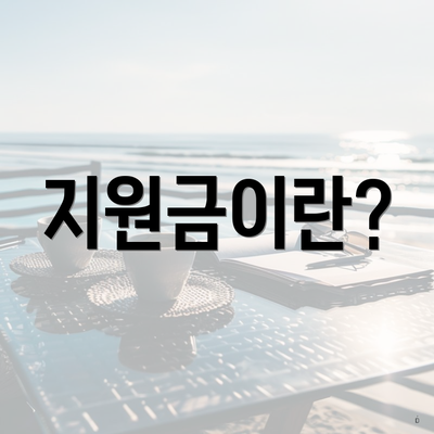 지원금이란?