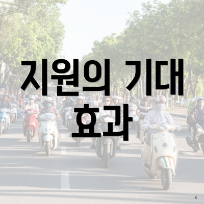 지원의 기대 효과