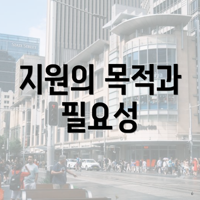 지원의 목적과 필요성