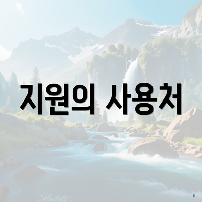 지원의 사용처