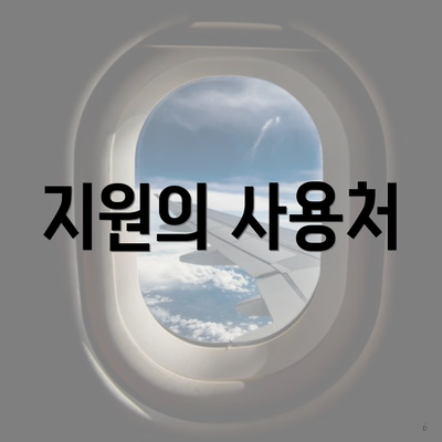 지원의 사용처
