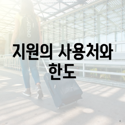지원의 사용처와 한도