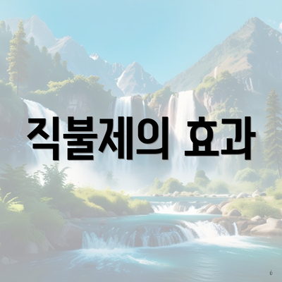직불제의 효과