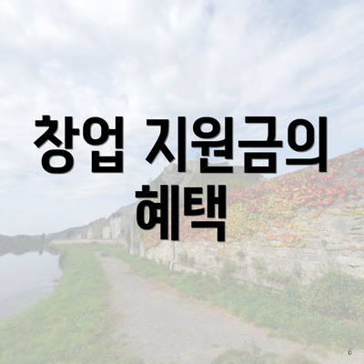 창업 지원금의 혜택