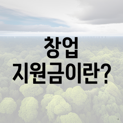 창업 지원금이란?