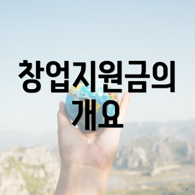 창업지원금의 개요