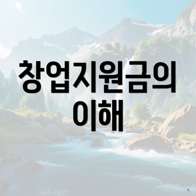 창업지원금의 이해