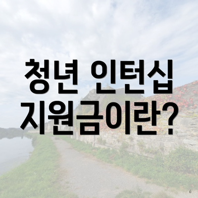 청년 인턴십 지원금이란?