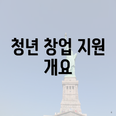 청년 창업 지원 개요