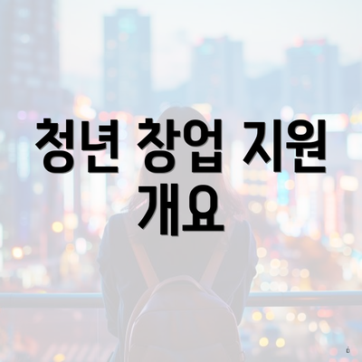 청년 창업 지원 개요
