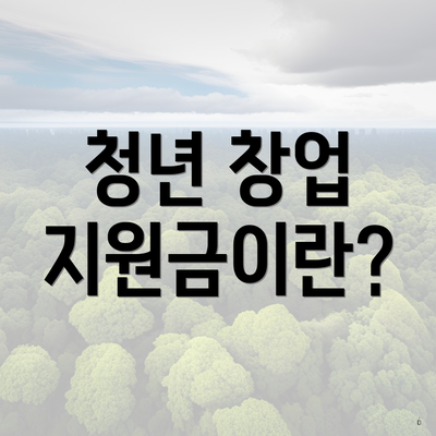 청년 창업 지원금이란?