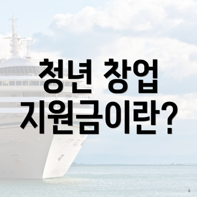 청년 창업 지원금이란?