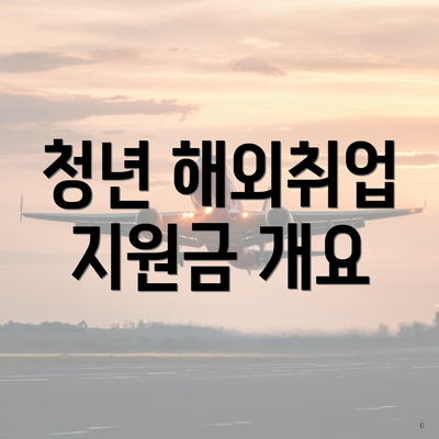 청년 해외취업 지원금 개요