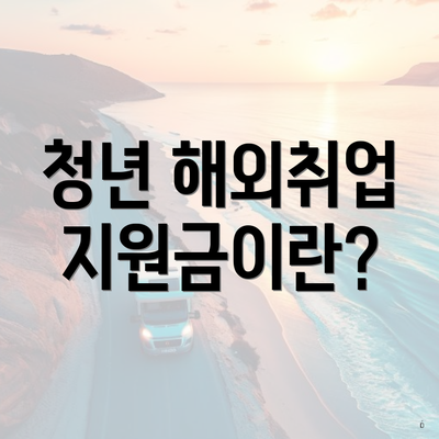 청년 해외취업 지원금이란?