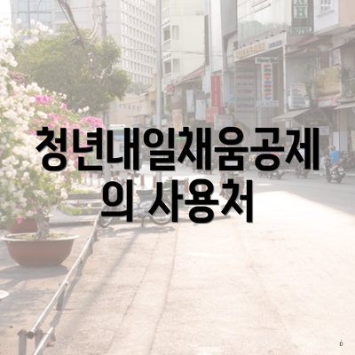 청년내일채움공제의 사용처