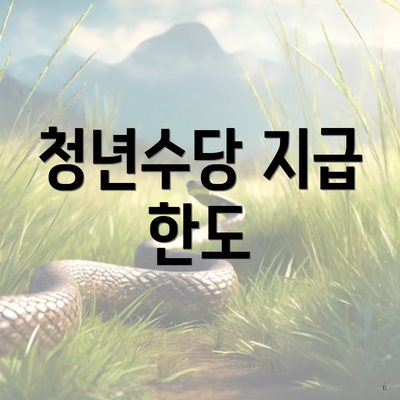 청년수당 지급 한도