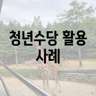 청년수당 활용 사례