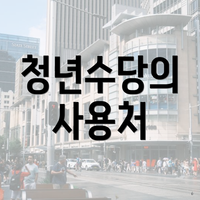 청년수당의 사용처