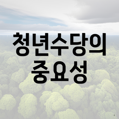 청년수당의 중요성