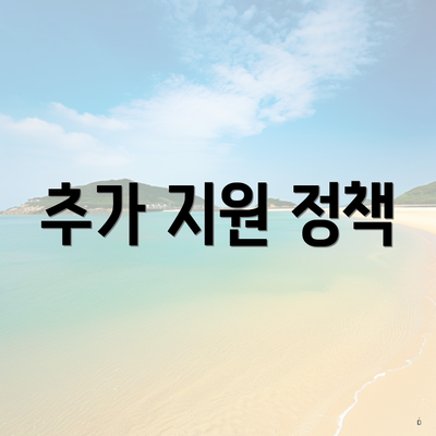 추가 지원 정책