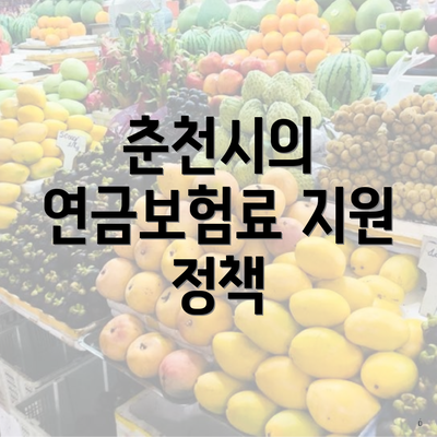 춘천시의 연금보험료 지원 정책